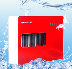 揚(yáng)子牌YZ-RO-50G型凈水器
